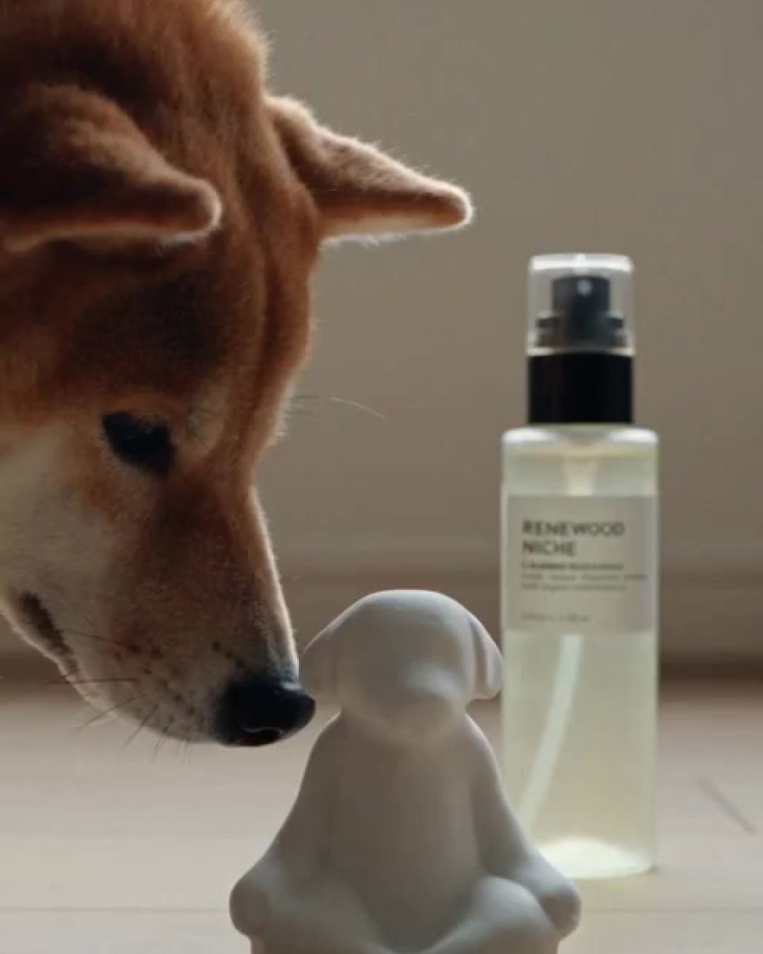 ニッチストーンとリニューウッドニッチを嗅ぐ柴犬