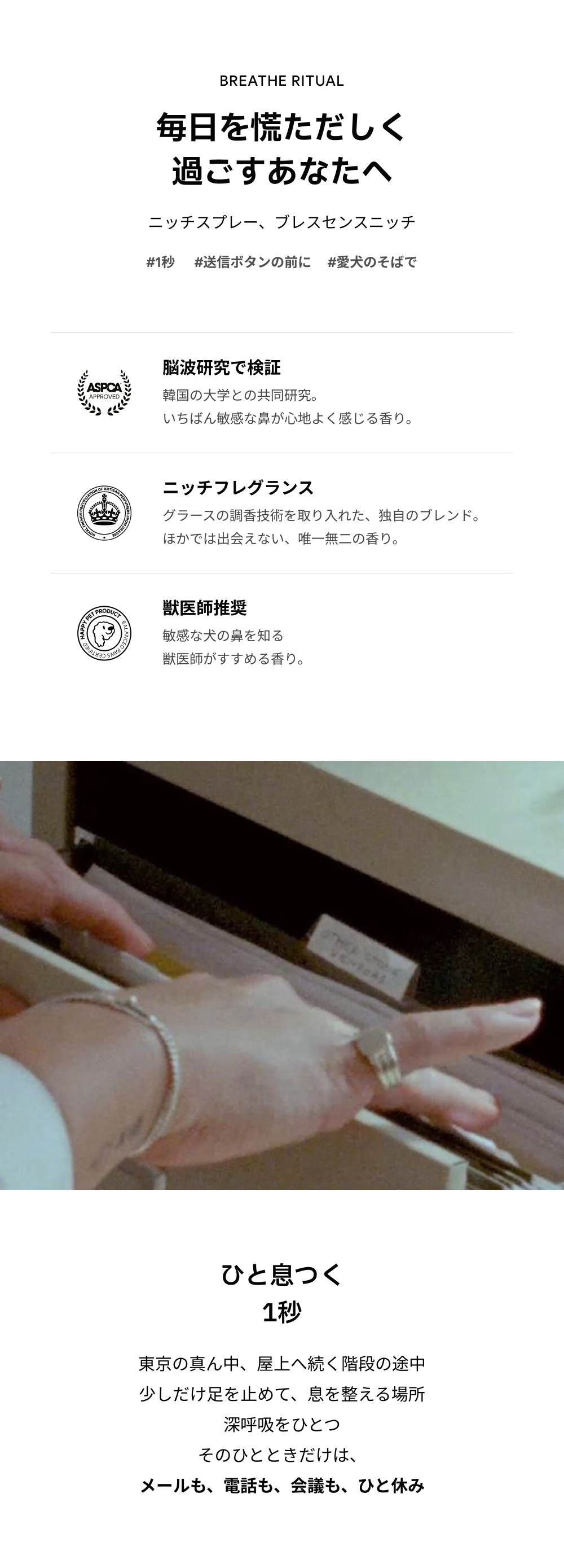 ブレスセンスニッチ