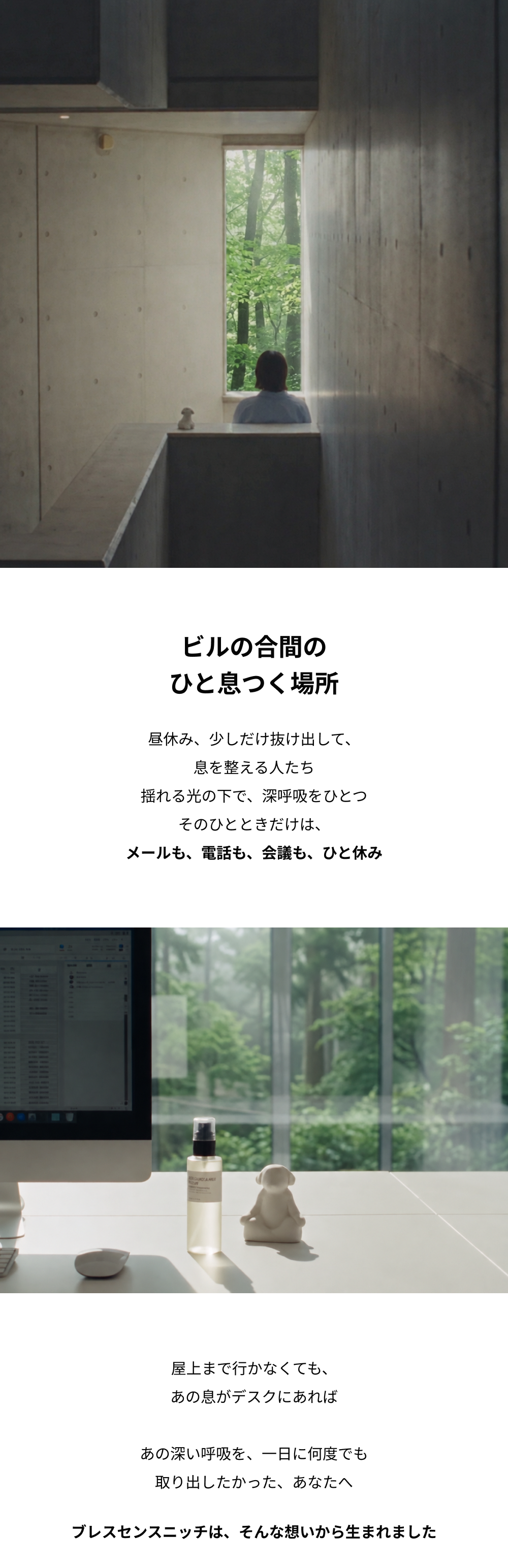 ブレスセンスニッチ
