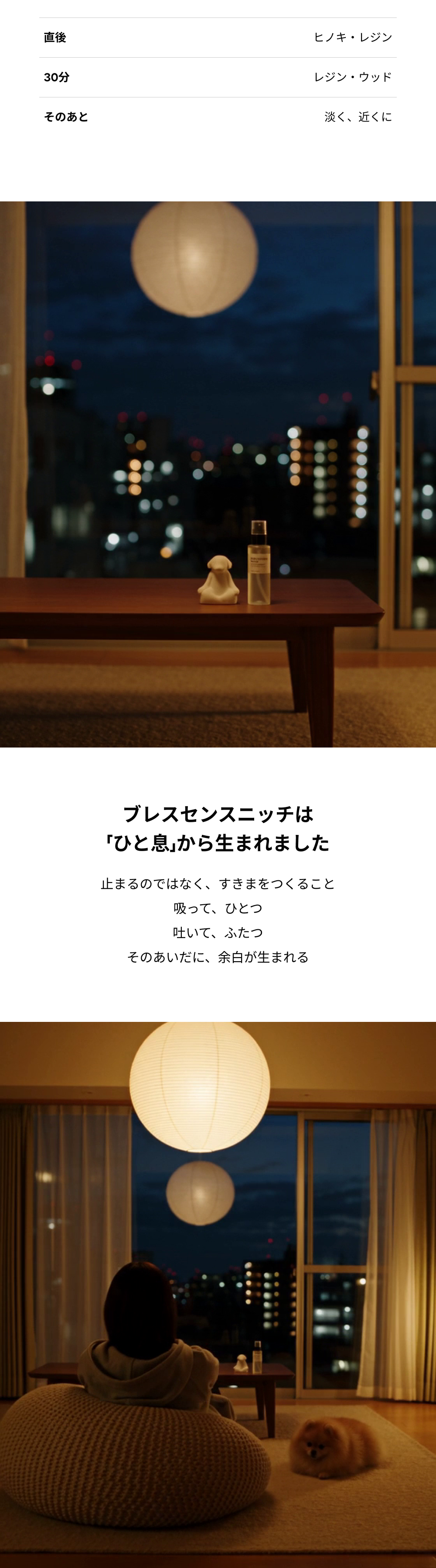 ブレスセンスニッチ