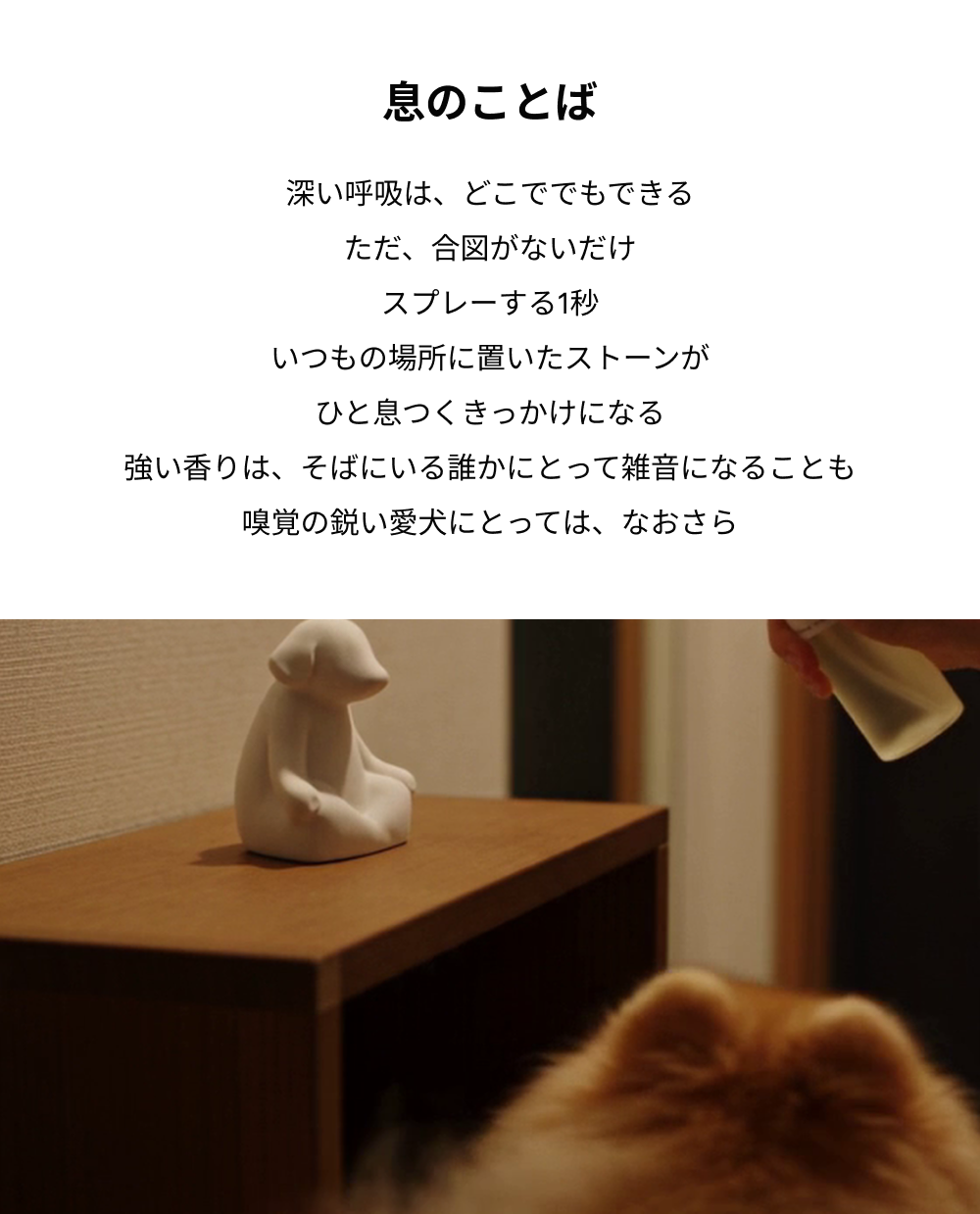 ブレスセンスニッチ