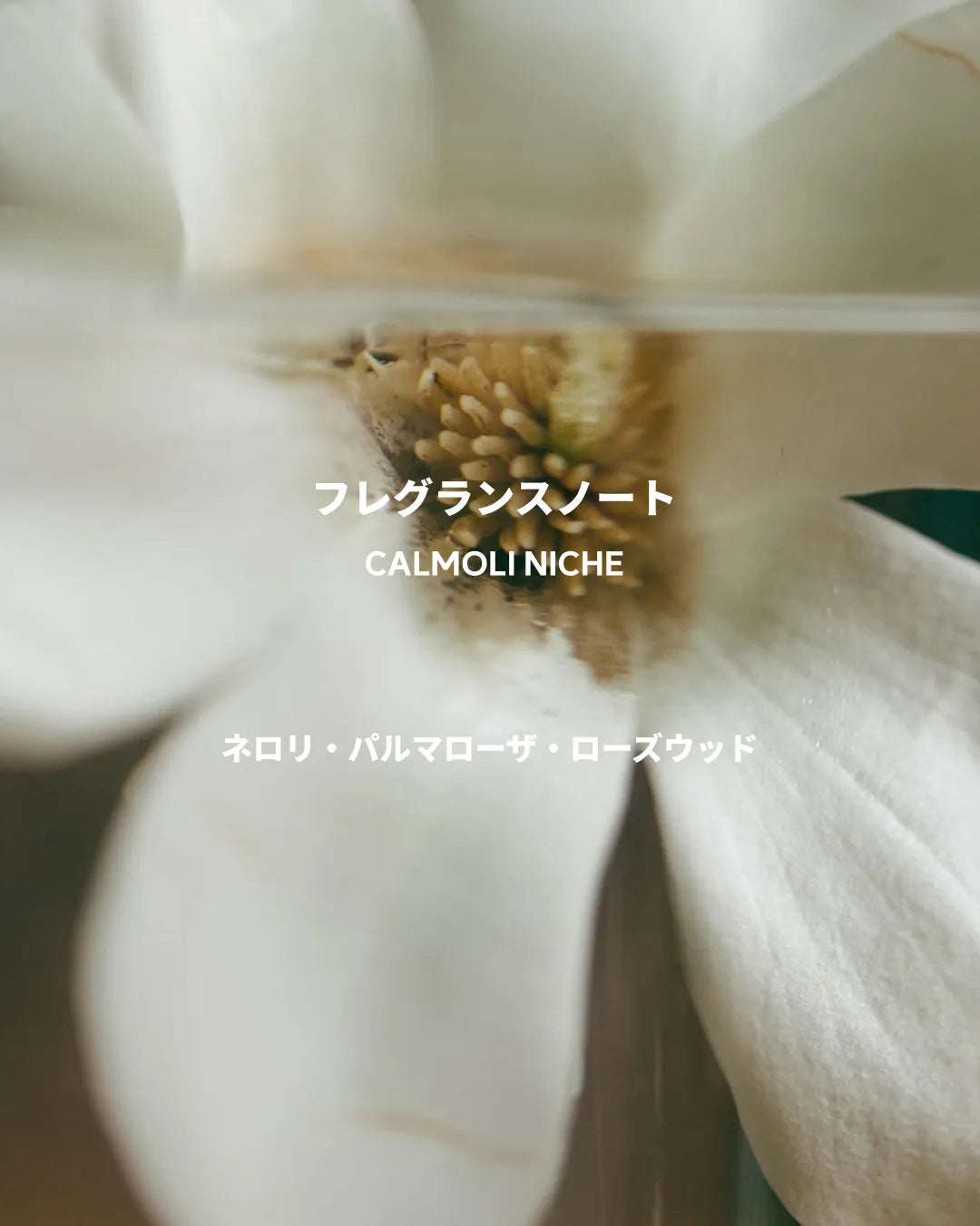 CALMOLI NICHE 静かなルームスプレ