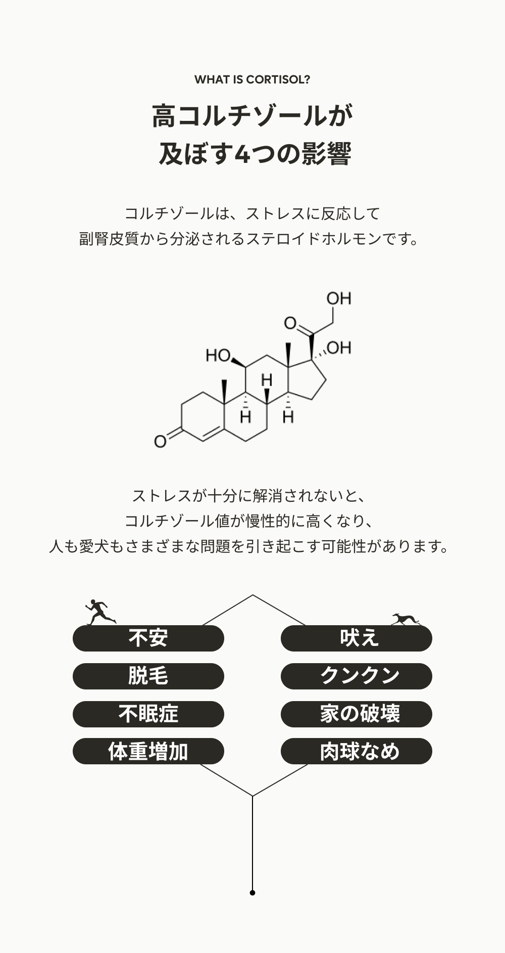 カルモリニッチオイル