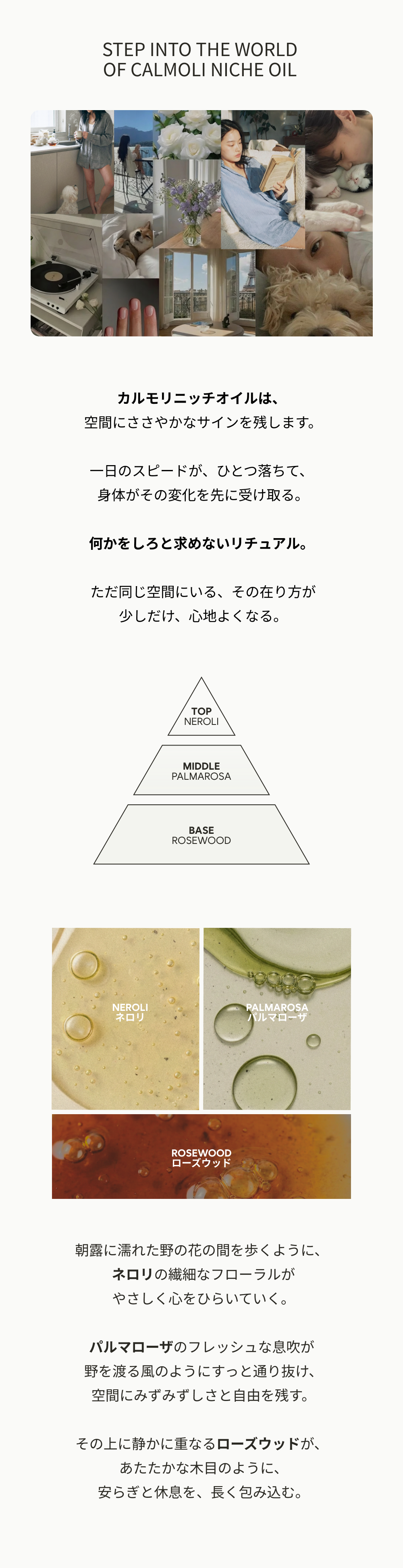 カルモリニッチオイル 香りのノート