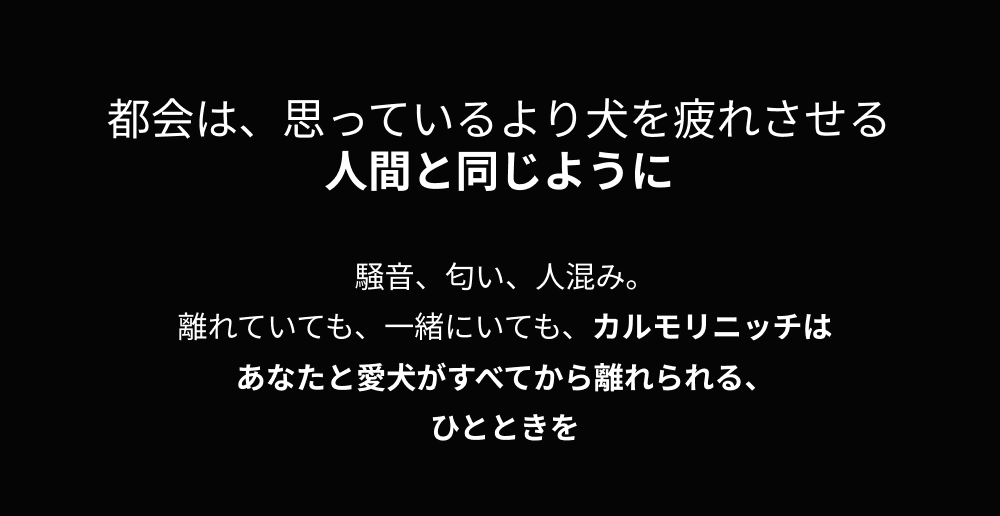 都会は、思っているより犬を疲れさせる。人間と同じように