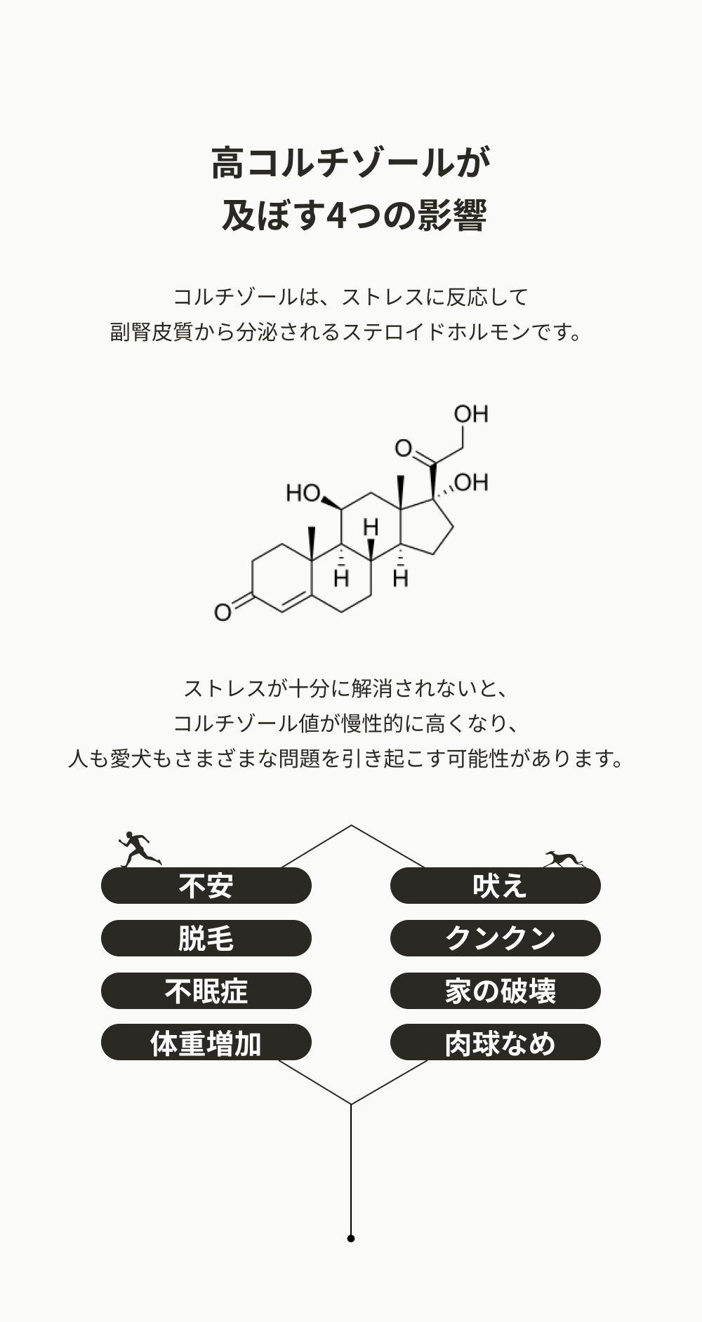 高コルチゾールが愛犬と人に及ぼす4つの影響