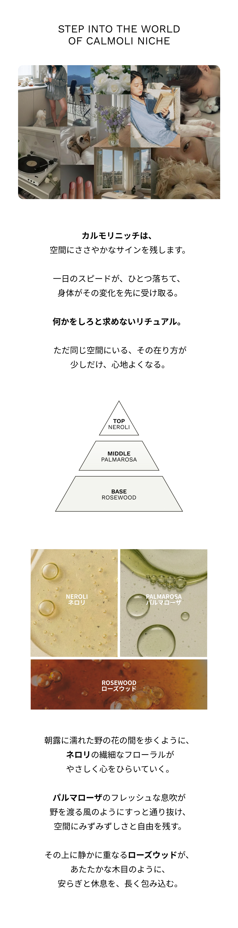 カルモリニッチの香りの構成