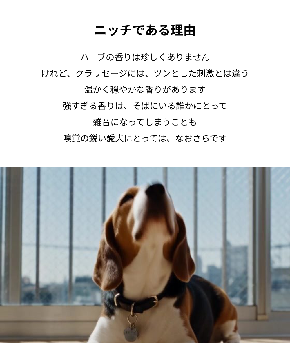 クラリティニッチ