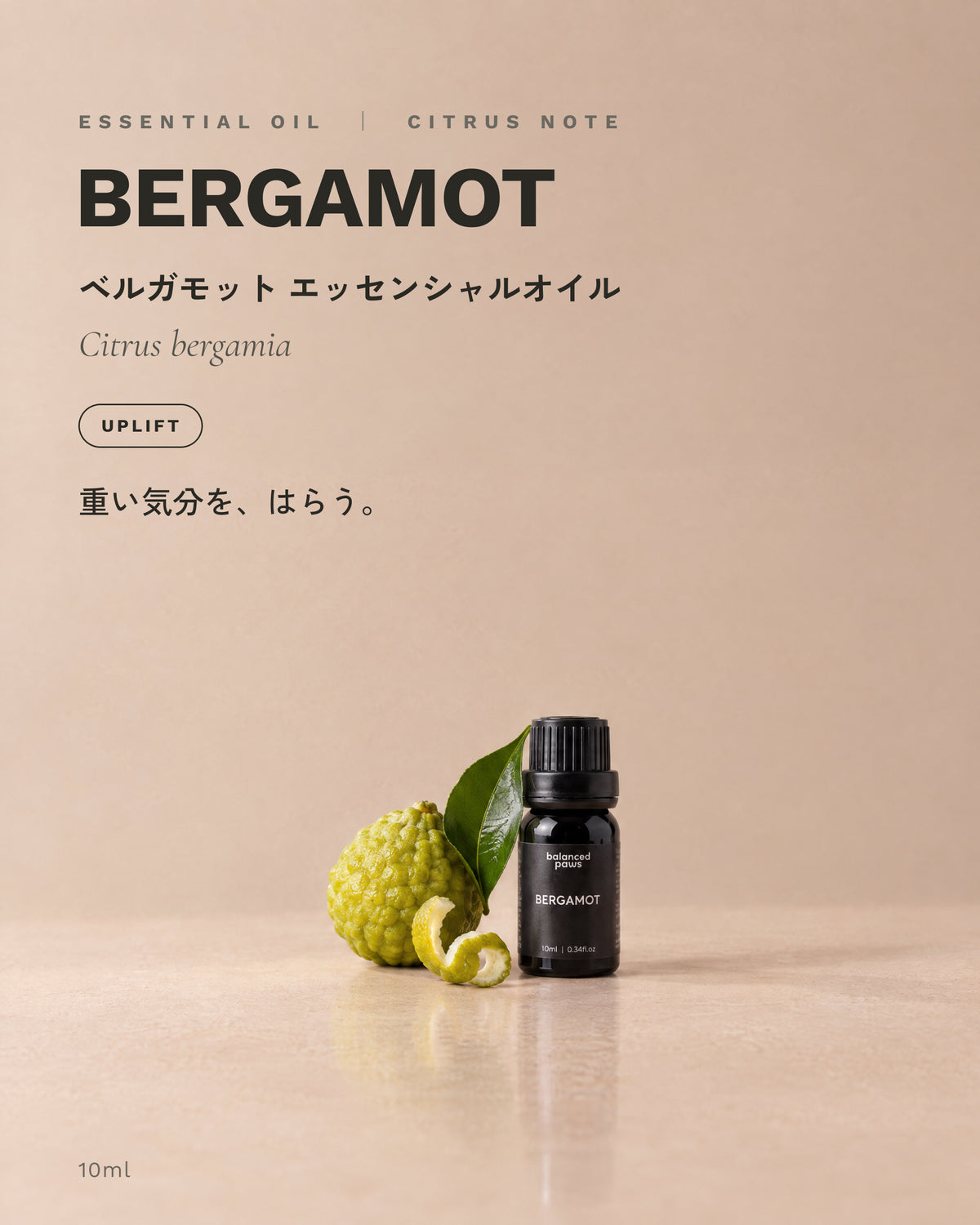 ニッチオイル : ベルガモット｜ベルガモット エッセンシャルオイル 10ml｜バランスドパウズ