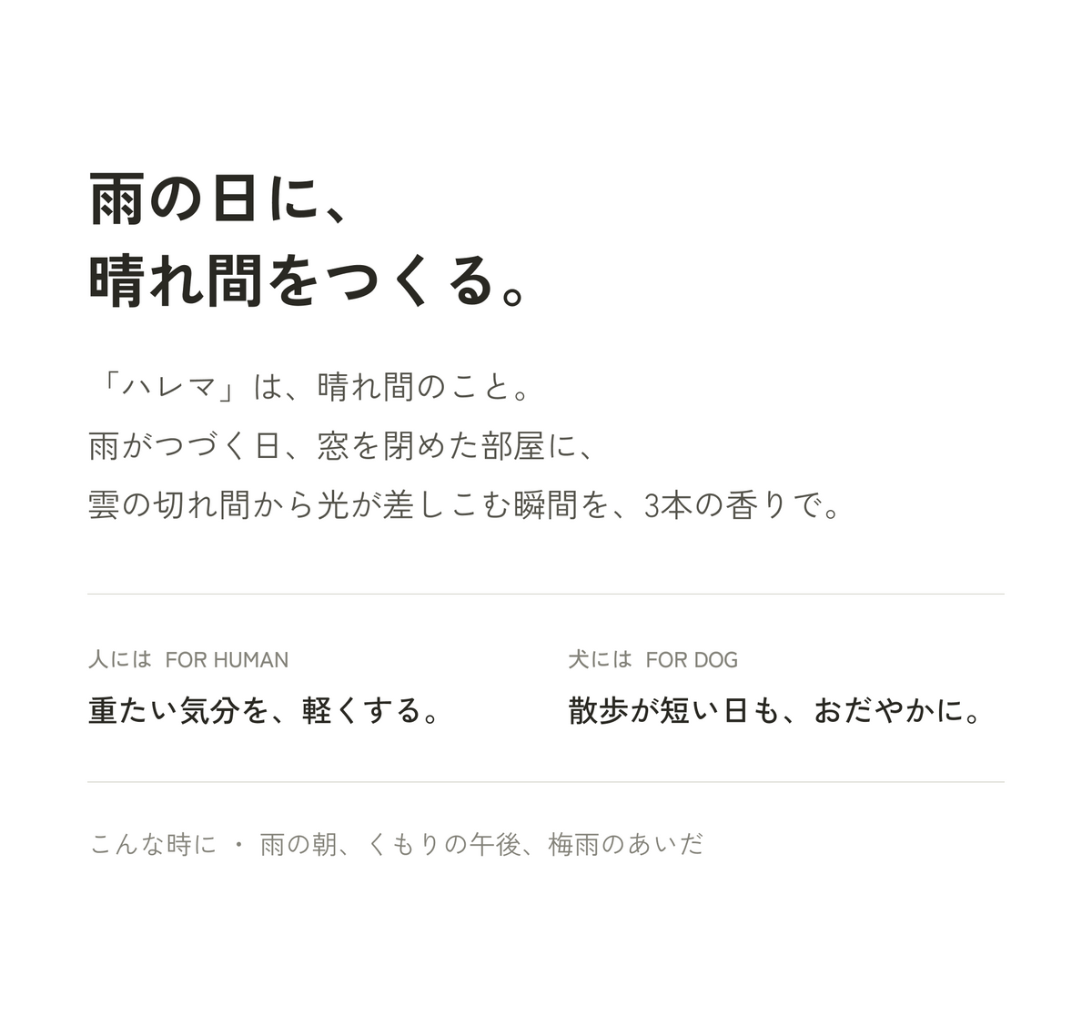 雨の日に、晴れ間をつくる。ハレマ ブレンドセット