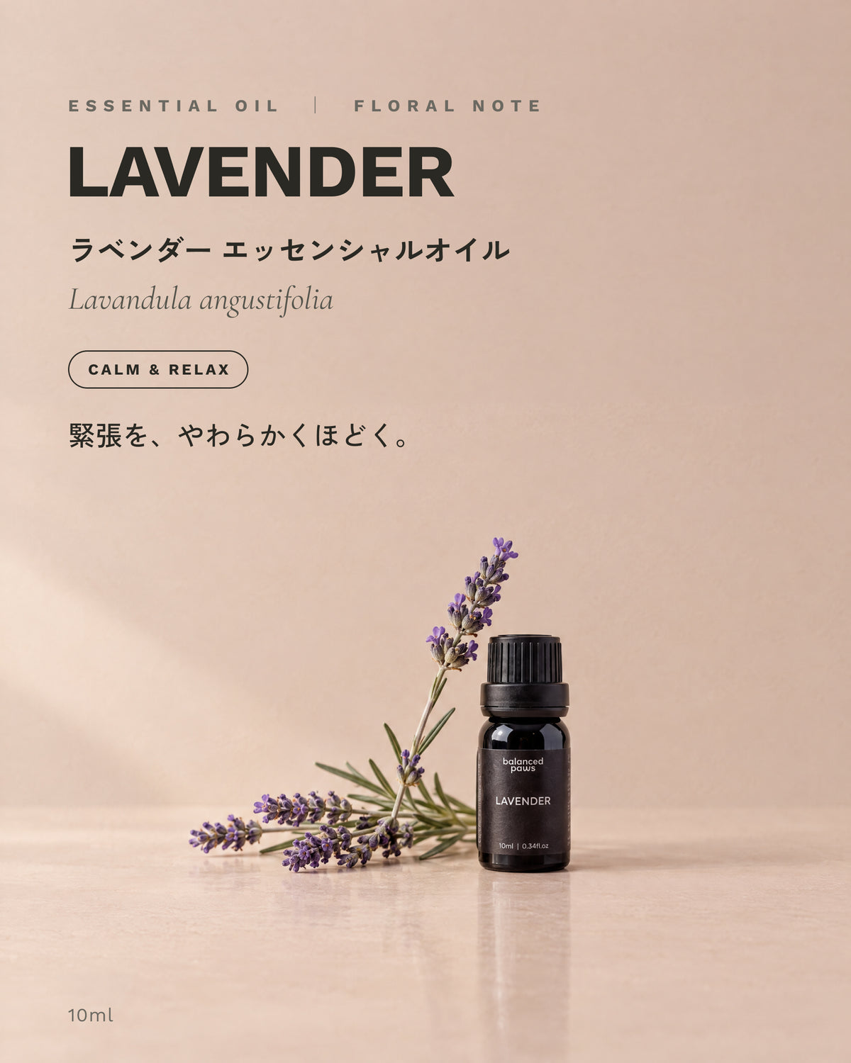 ニッチオイル : ラベンダー｜ラベンダー エッセンシャルオイル 10ml｜バランスドパウズ