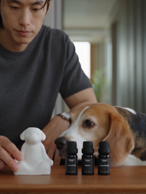STEP 1 置く ― 愛犬の近くにニッチストーンを置く