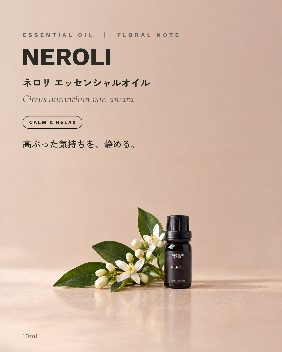 ニッチオイル : ネロリ｜ネロリ エッセンシャルオイル 10ml｜バランスドパウズ