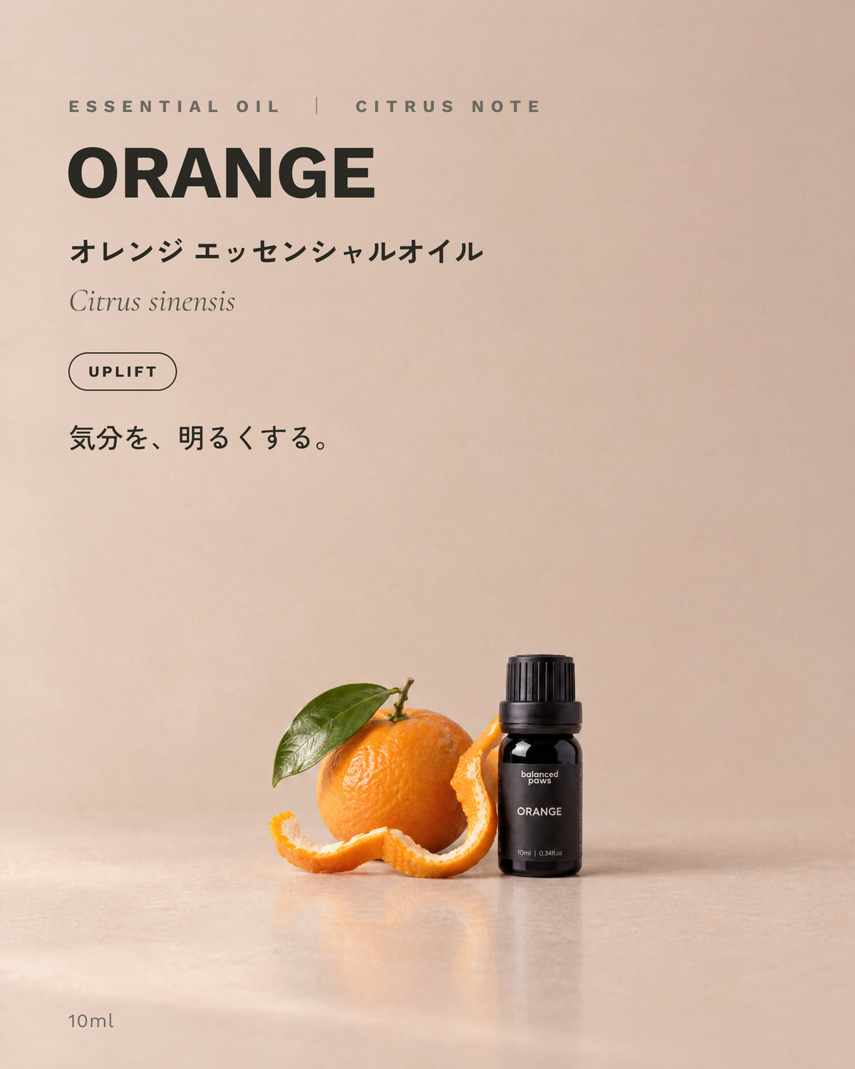 ニッチオイル : オレンジ｜オレンジ エッセンシャルオイル 10ml｜バランスドパウズ