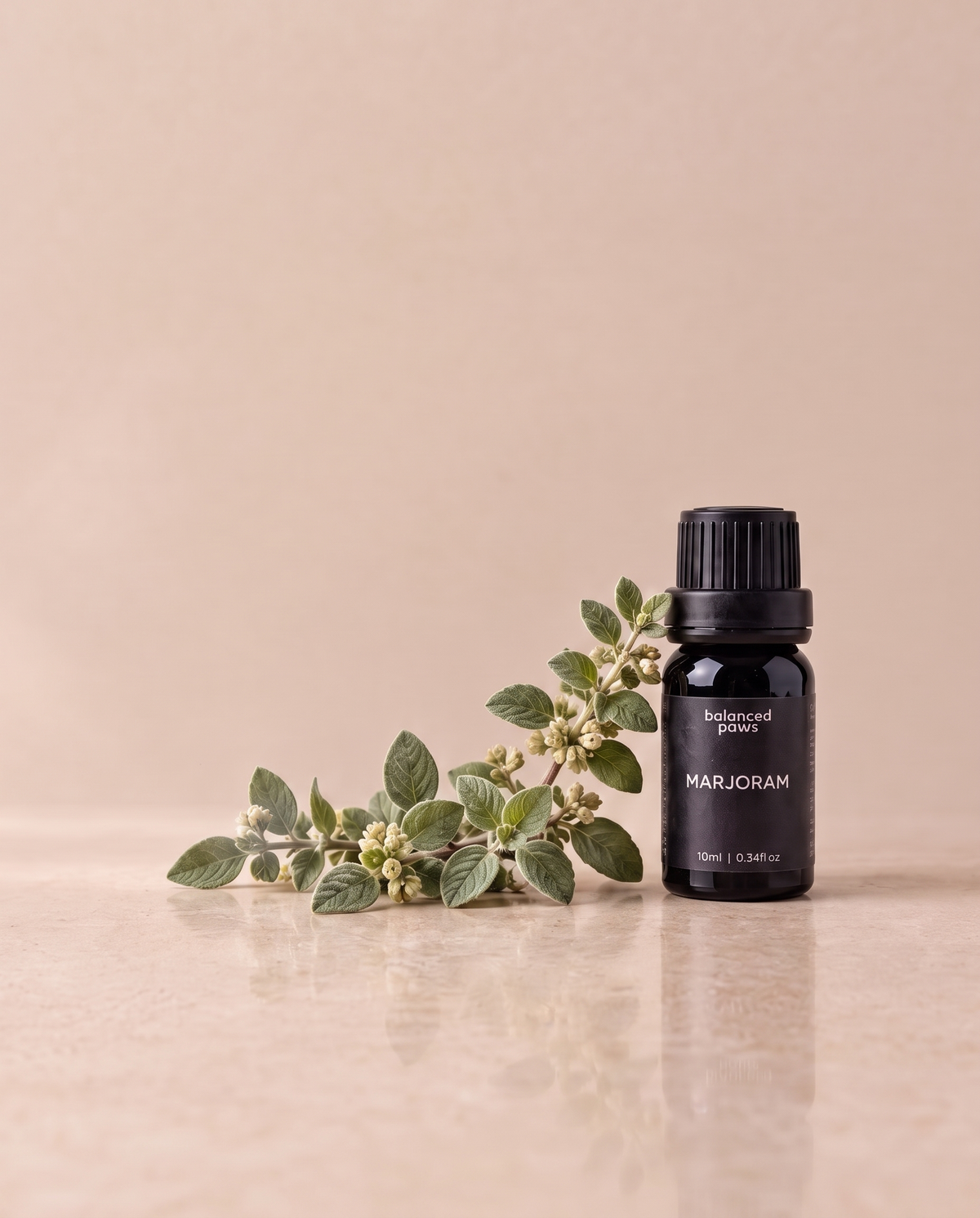 ニッチオイル : マジョラム｜マジョラム エッセンシャルオイル 10ml｜バランスドパウズ