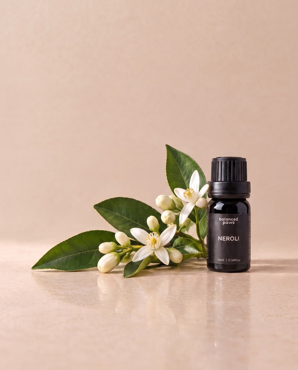ニッチオイル : ネロリ｜ネロリ エッセンシャルオイル 10ml｜バランスドパウズ