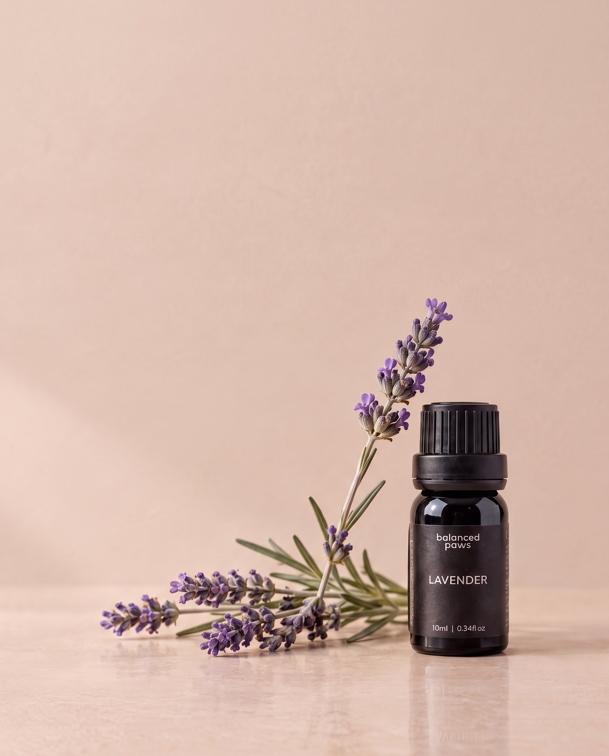 ニッチオイル : ラベンダー｜ラベンダー エッセンシャルオイル 10ml｜バランスドパウズ