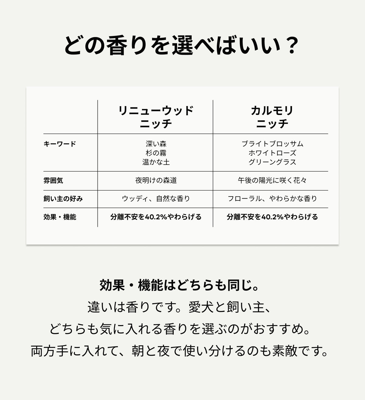 LP 15 CHOOSE
