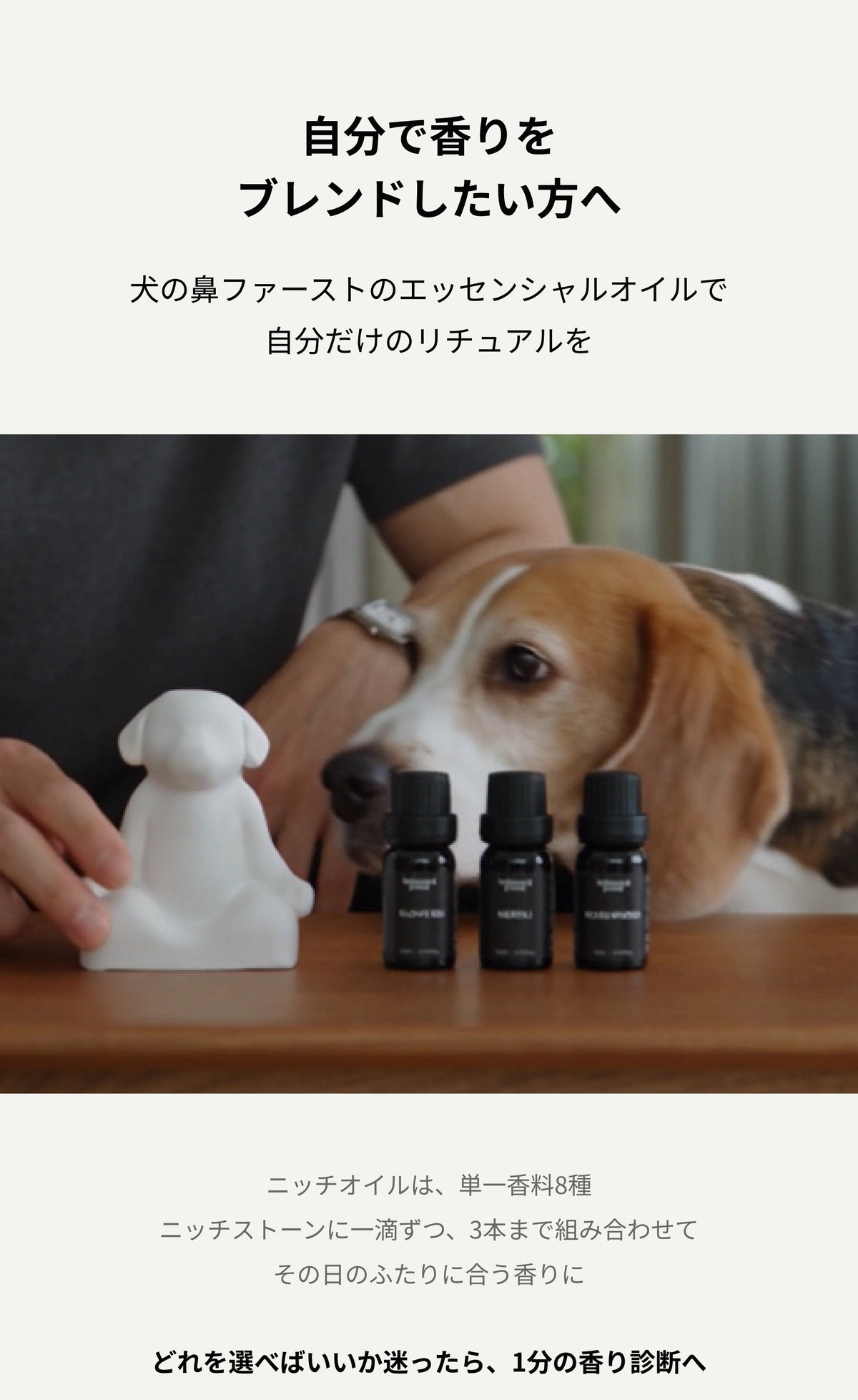 ニッチオイル