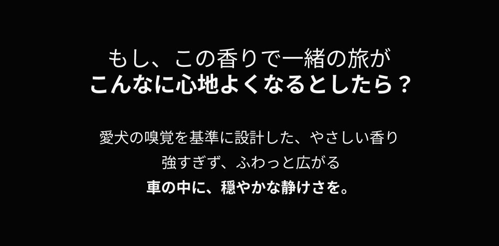 カルモリニッチ カーディフューザーセット