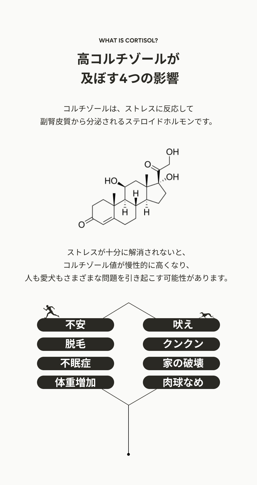 カルモリニッチ カーディフューザーセット