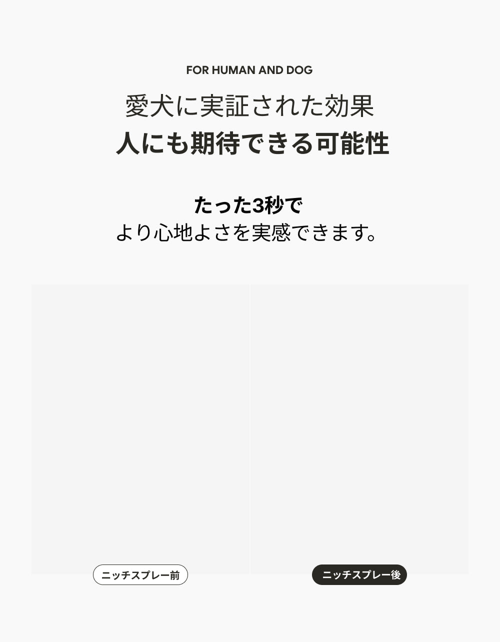 カルモリニッチ カーディフューザーセット