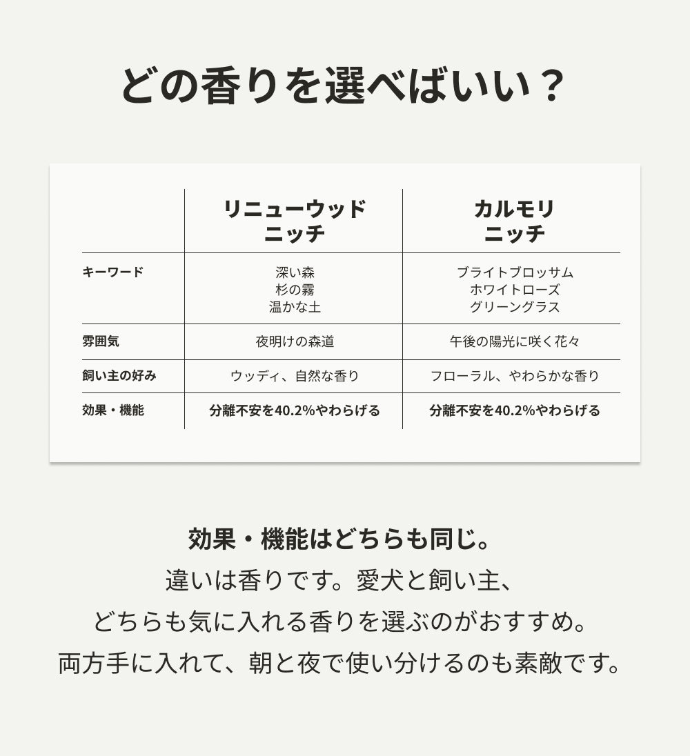 カルモリニッチ カーディフューザーセット