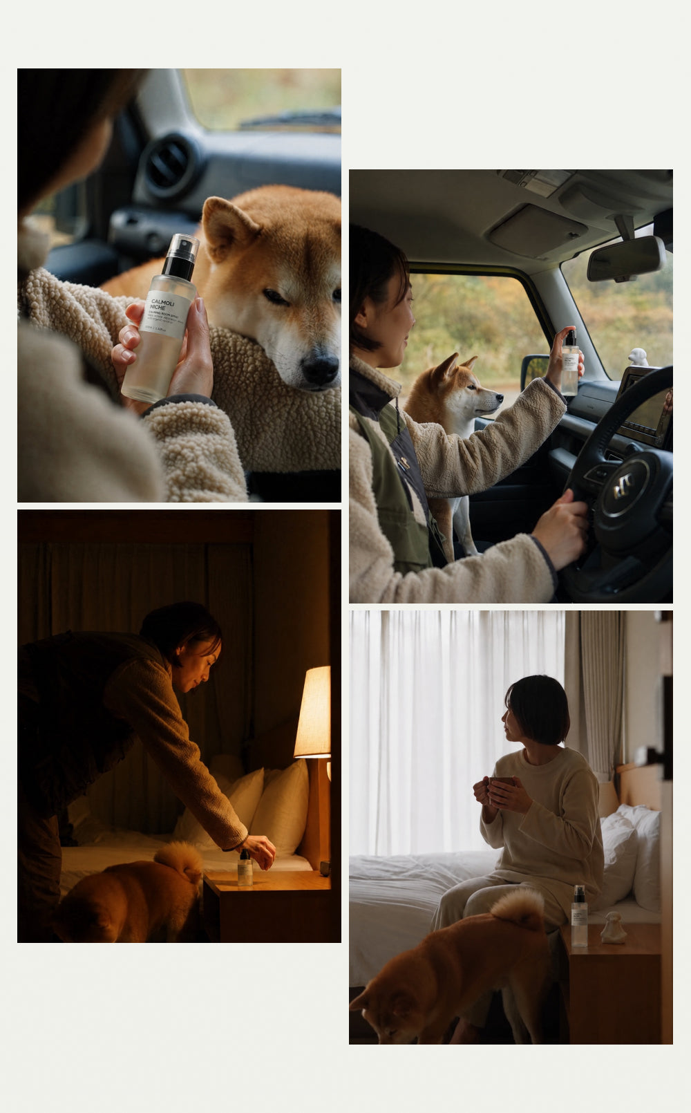 カルモリニッチ カーディフューザーセット