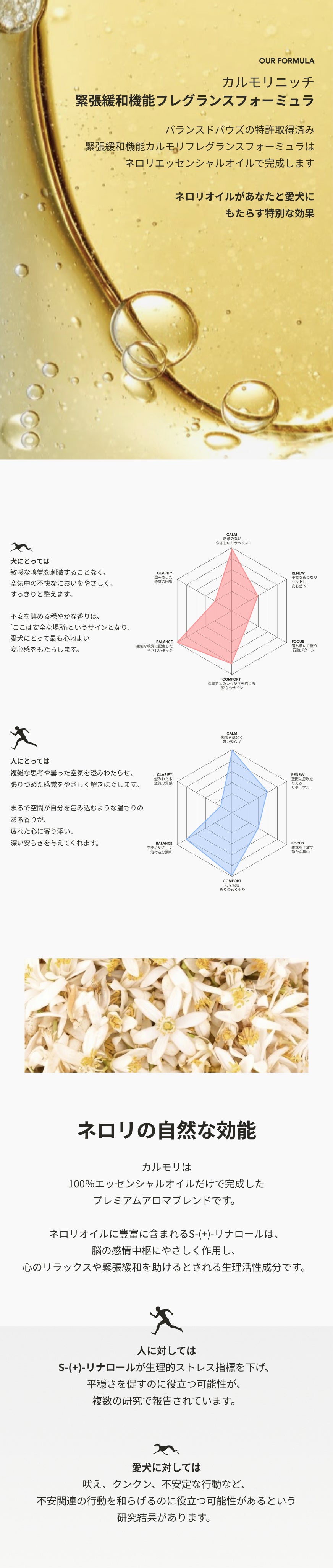 カルモリニッチ カーディフューザーセット