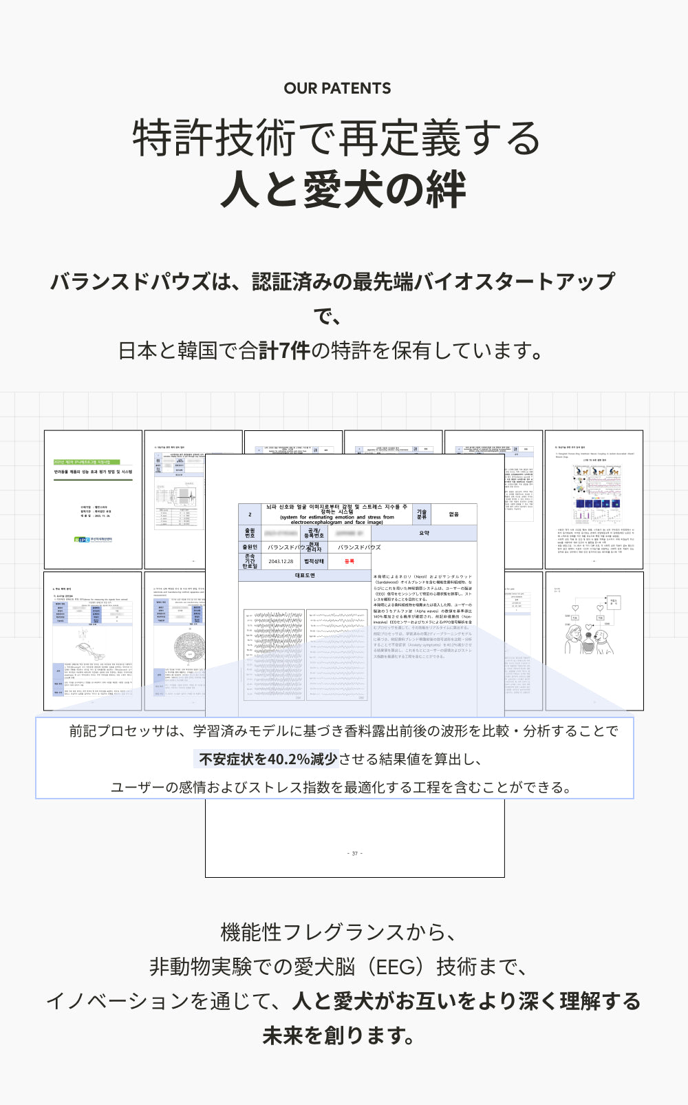 カルモリニッチ カーディフューザーセット