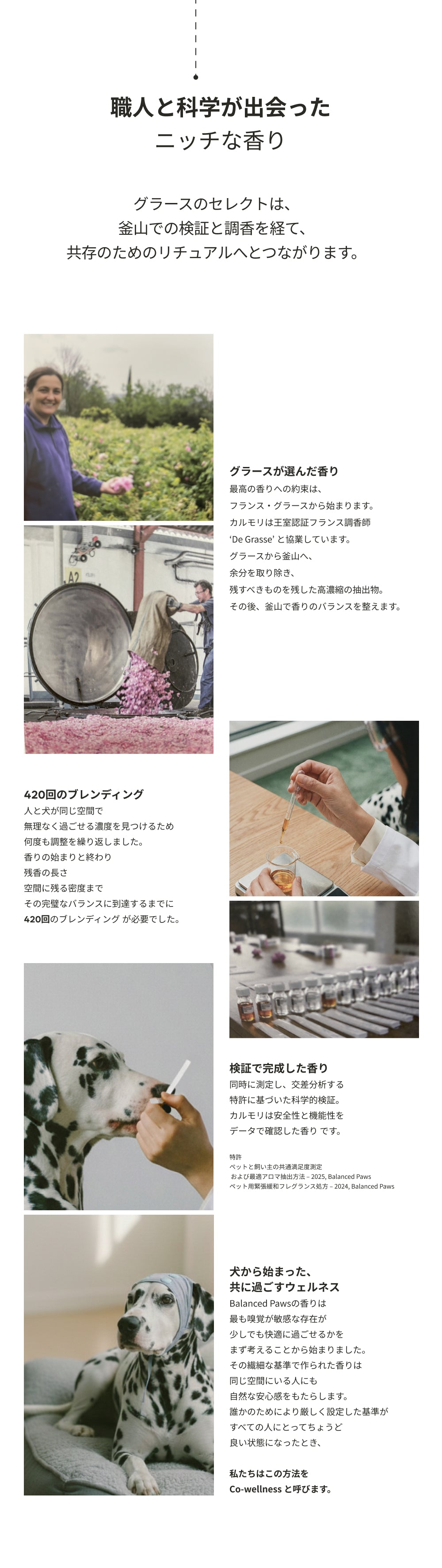 カルモリニッチ カーディフューザーセット
