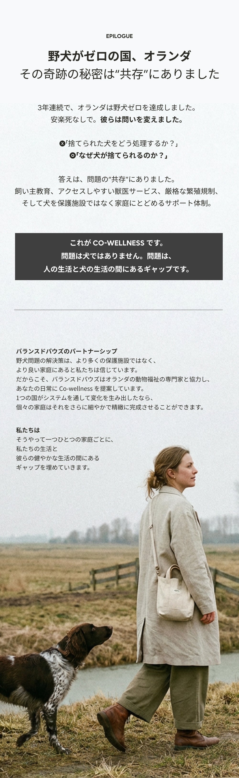 カルモリニッチ カーディフューザーセット