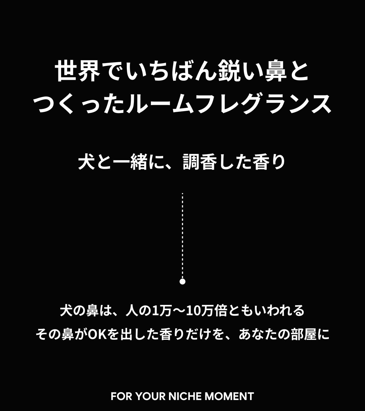 RENEWOOD LP 01 HOOK