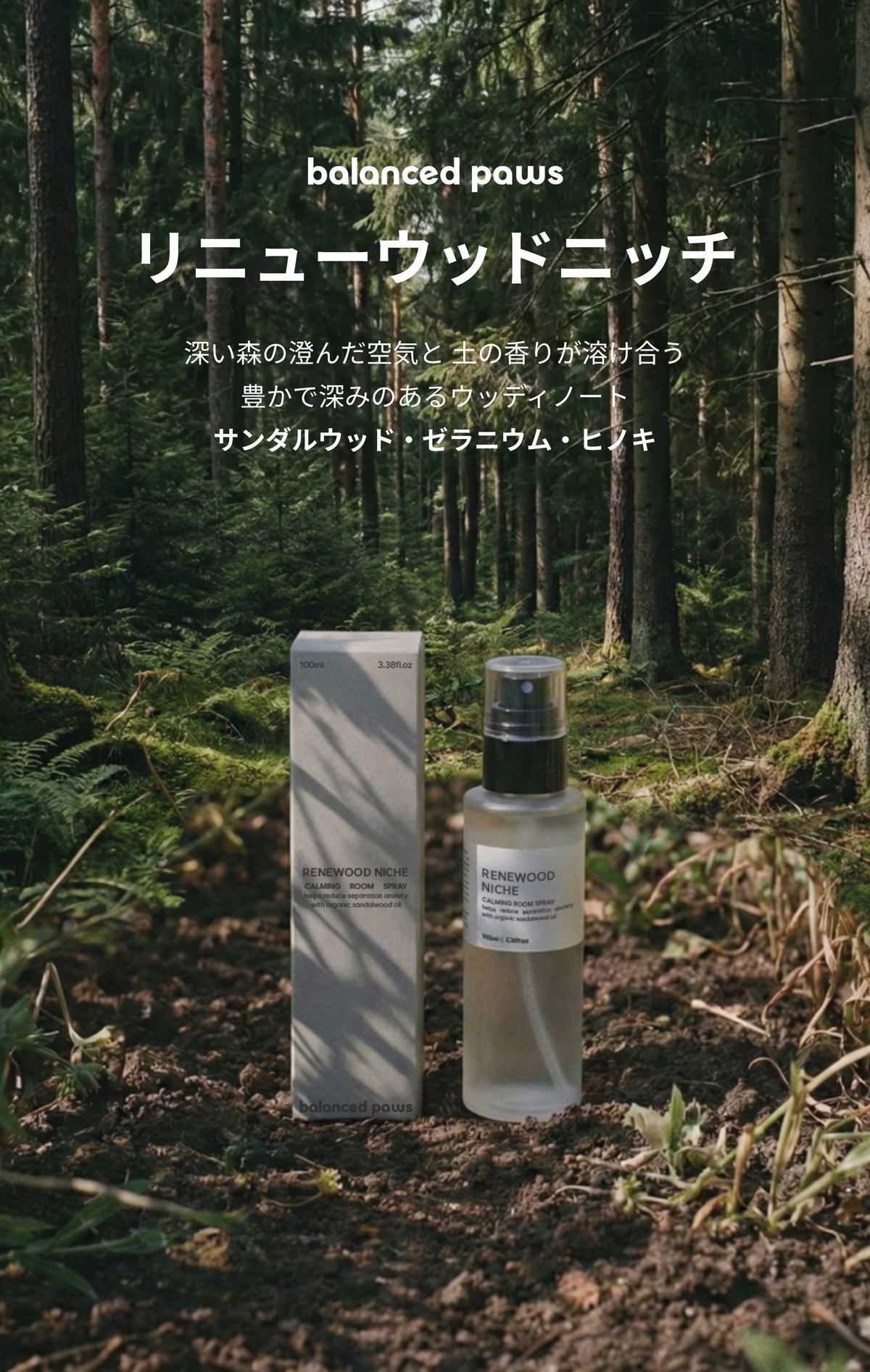 RENEWOOD LP 04b