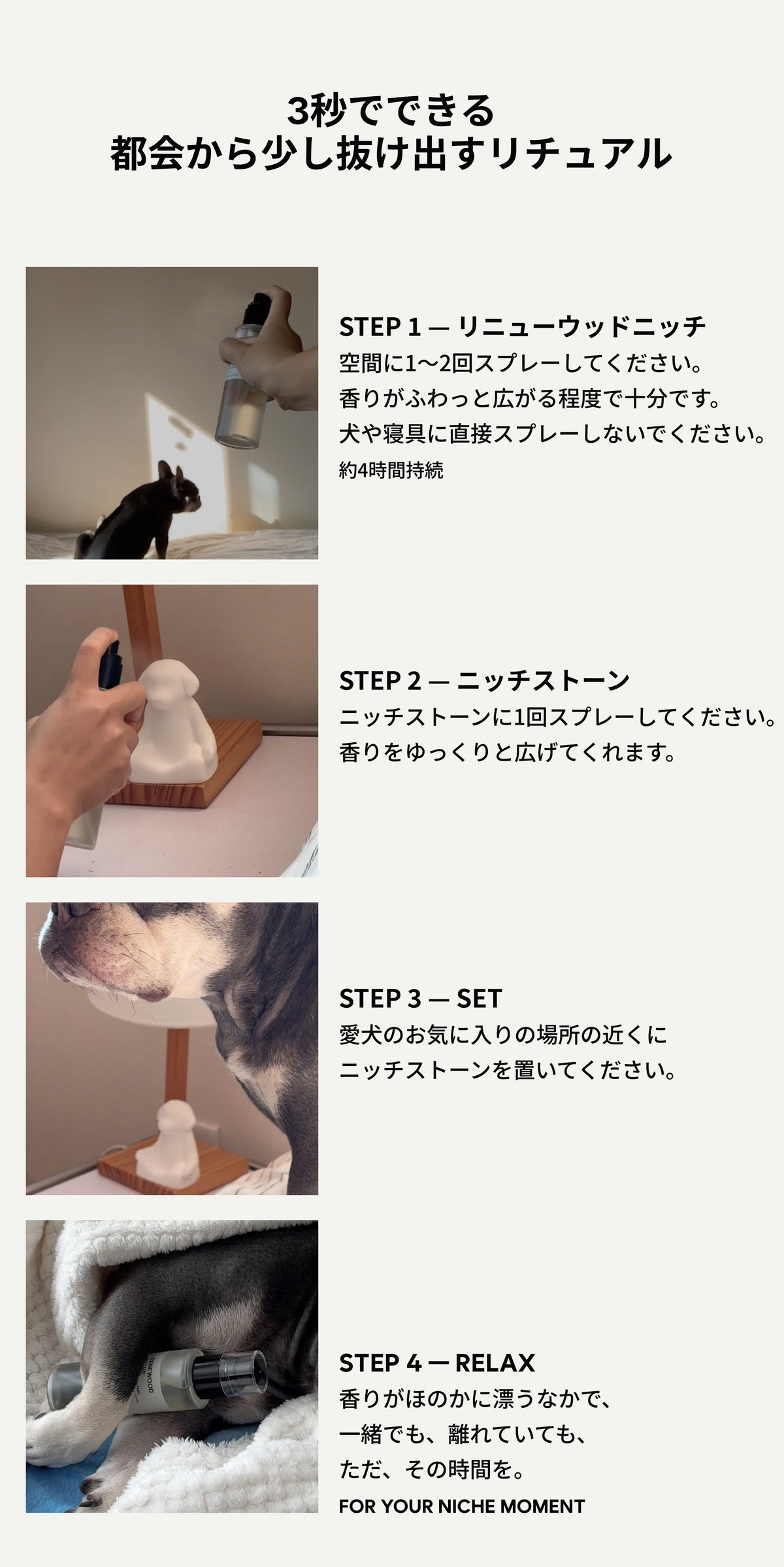RENEWOOD LP 09 HOW TO USE
