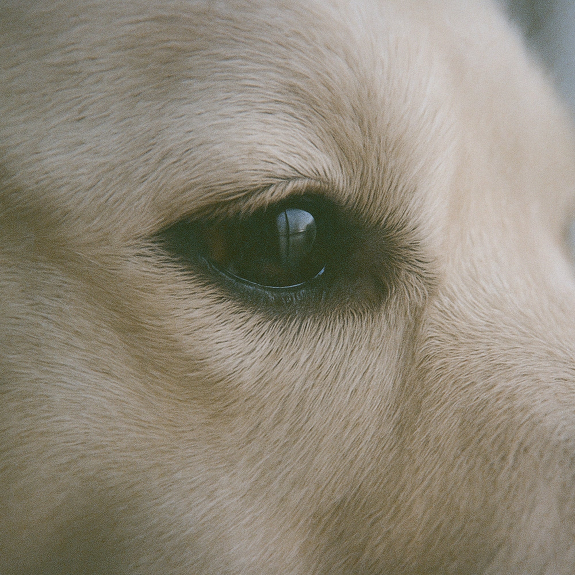 私たちについて