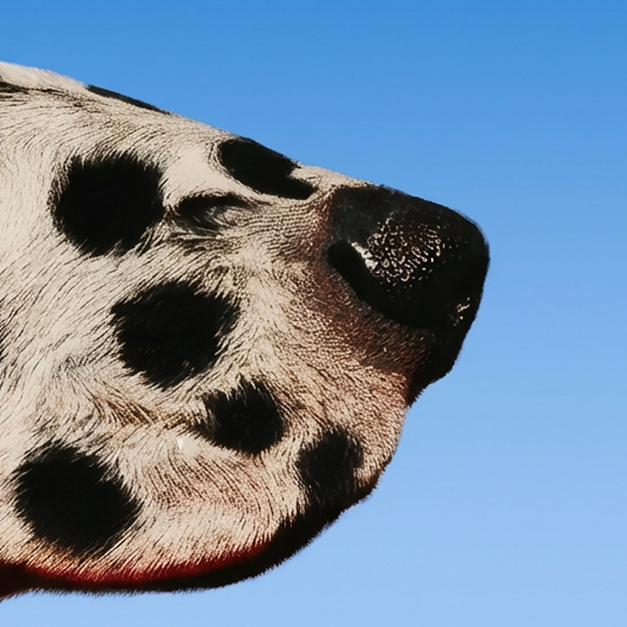 私たちについて