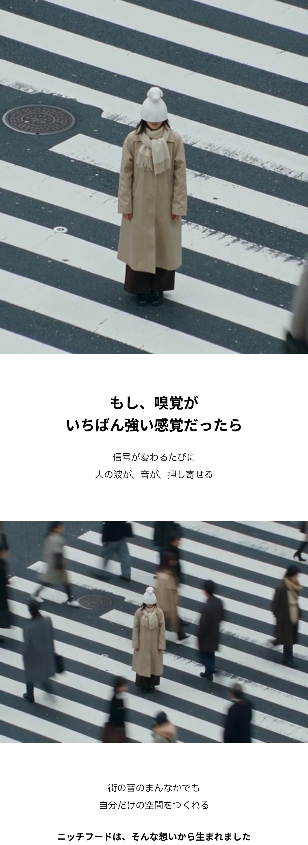 ニッチフード 02a