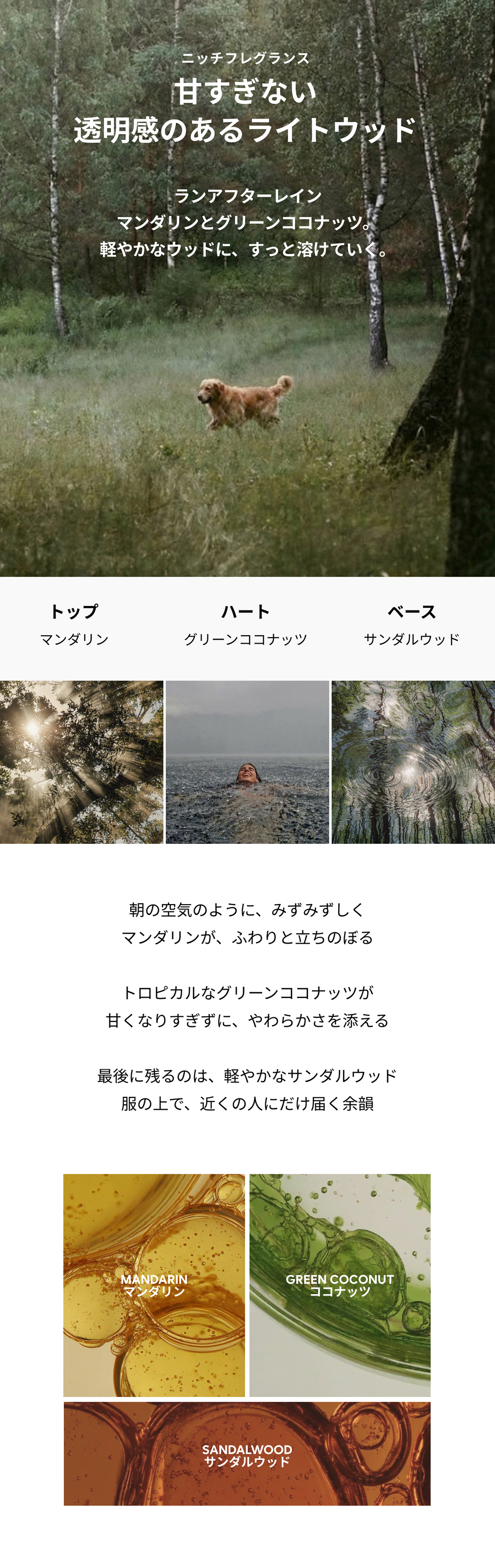 香りのノート — マンダリン・グリーンココナッツ・サンダルウッド