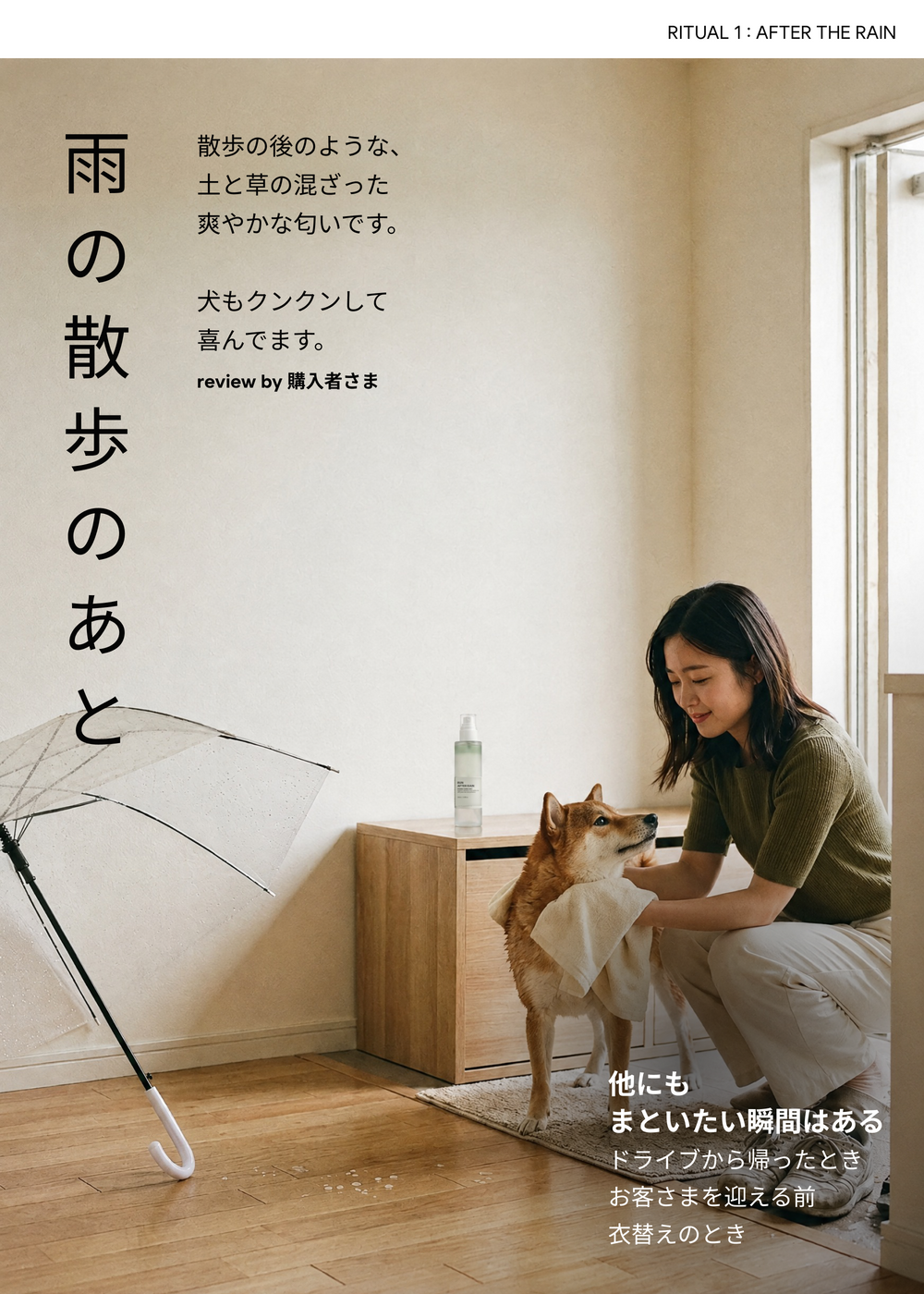 雨の散歩のあと