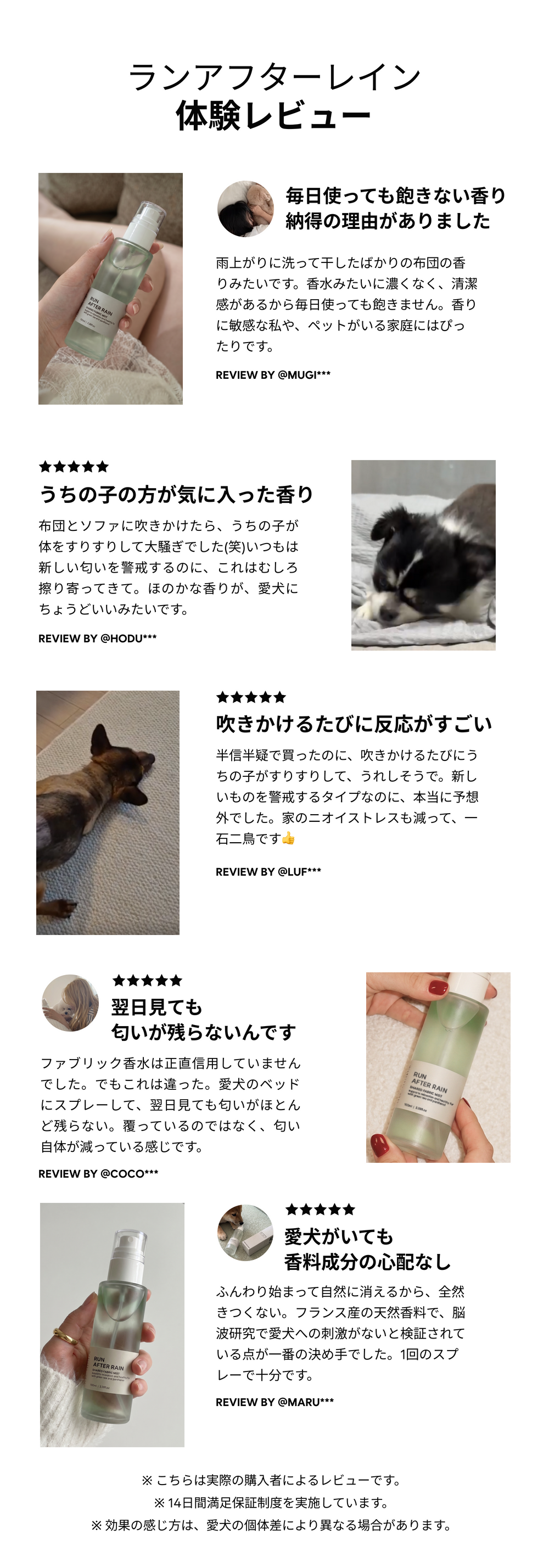 ランアフターレイン 体験レビュー