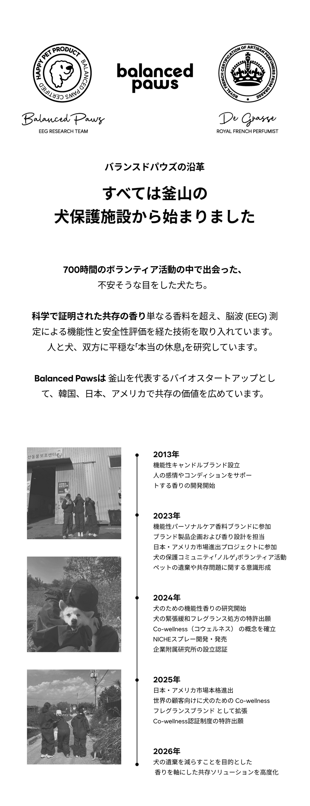 すべては釜山の犬保護施設から始まりました