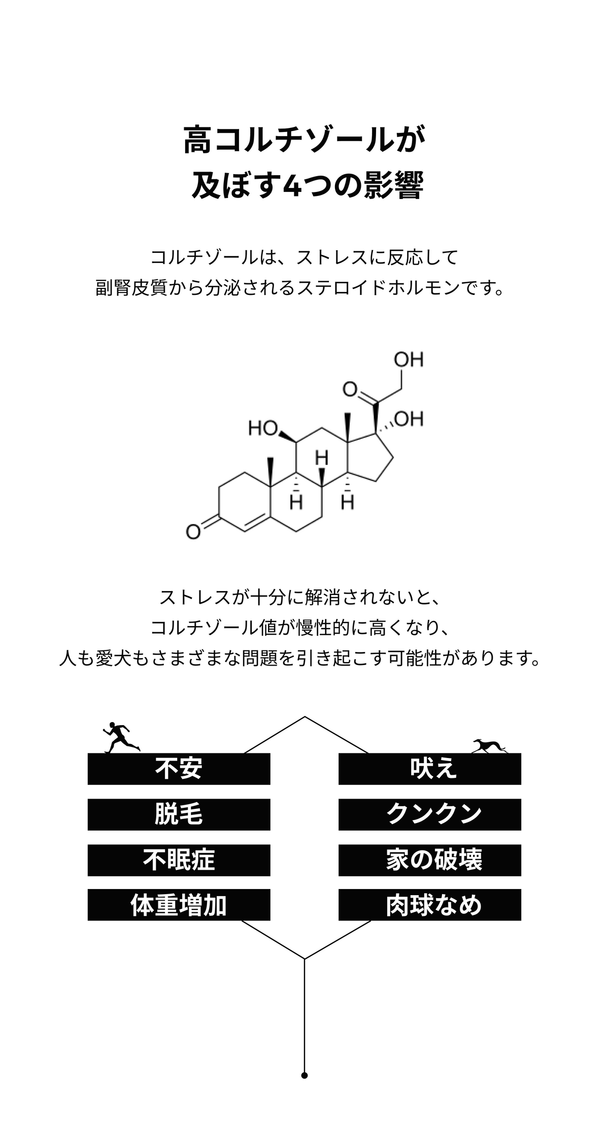 高コルチゾールが及ぼす4つの影響