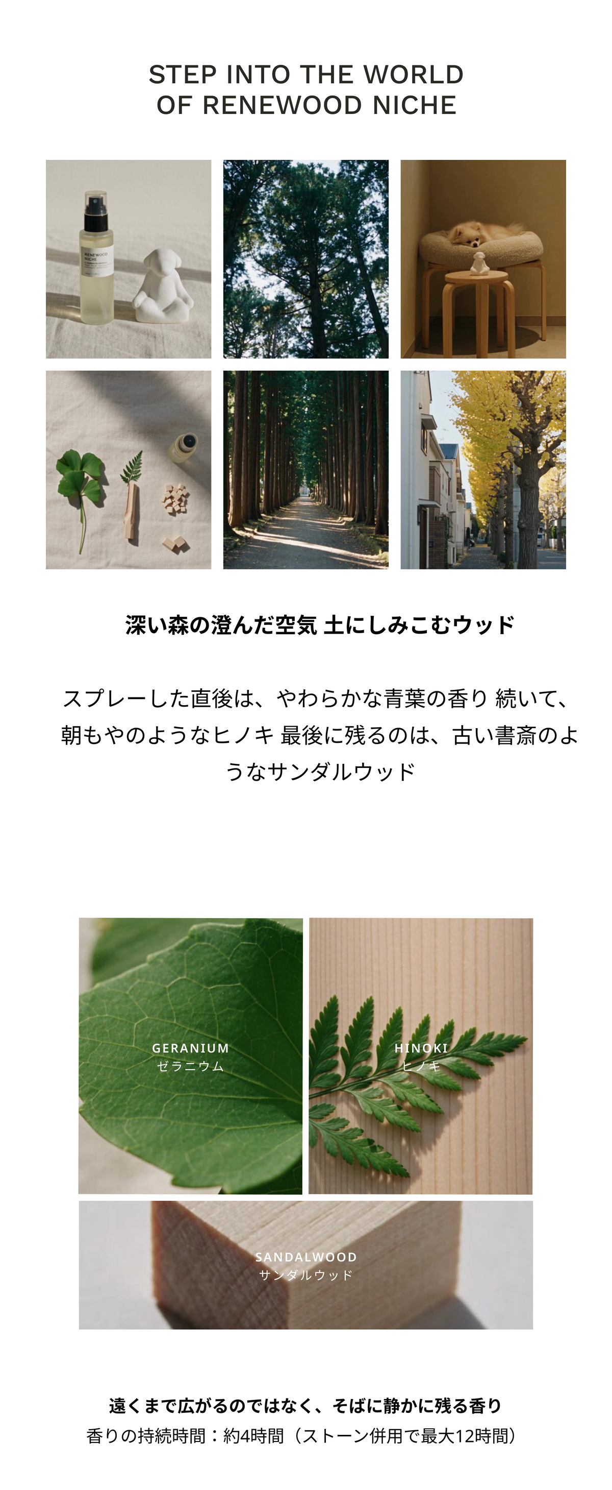 STEP INTO THE WORLD OF RENEWOOD NICHE