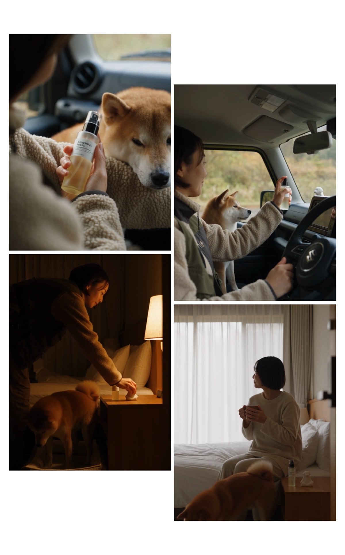 リニューウッドニッチ UGC
