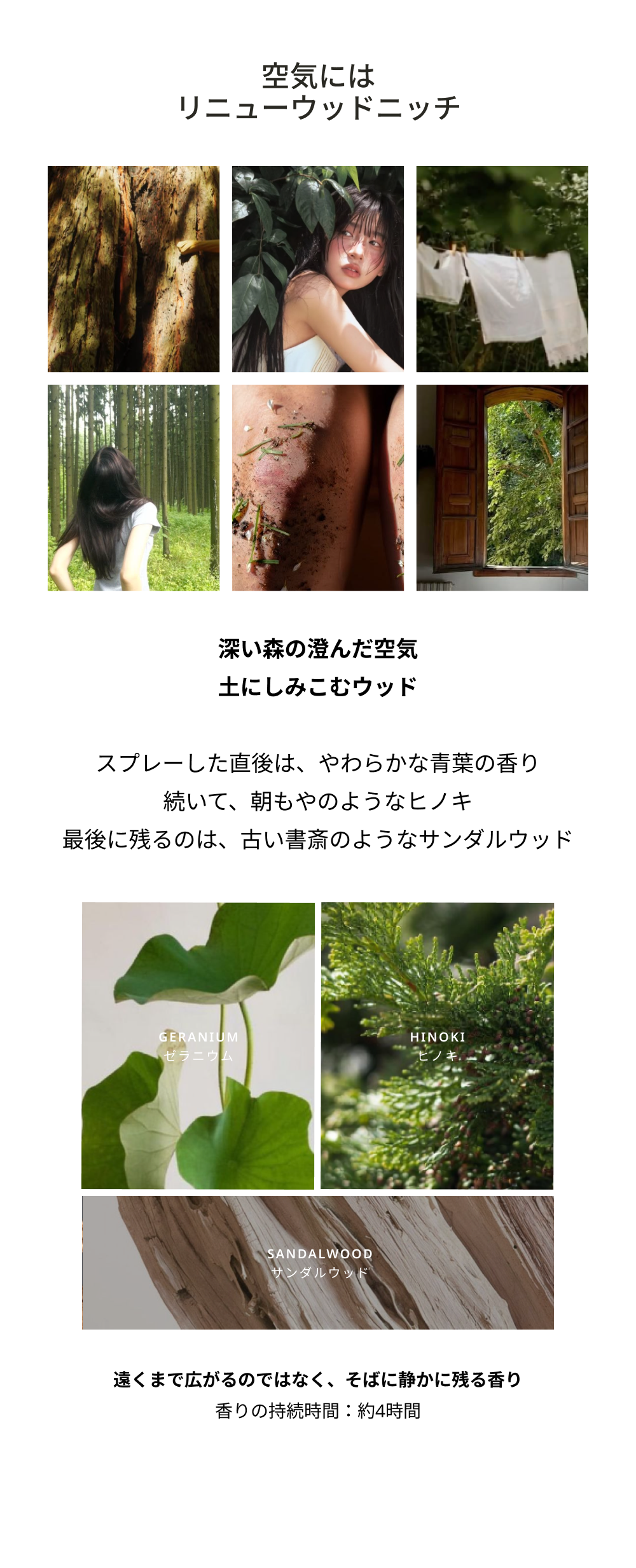 空気にはリニューウッドニッチ